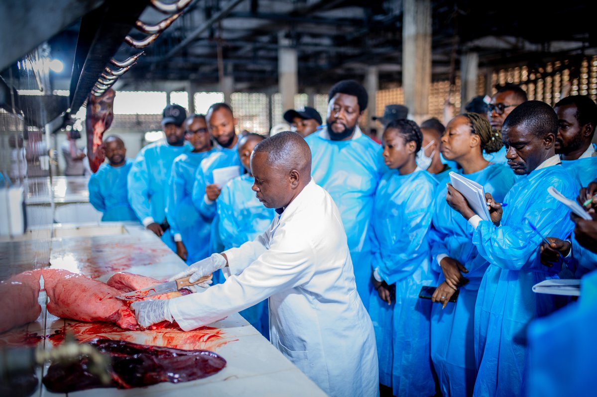 FAO en République démocratique du Congo tweet media