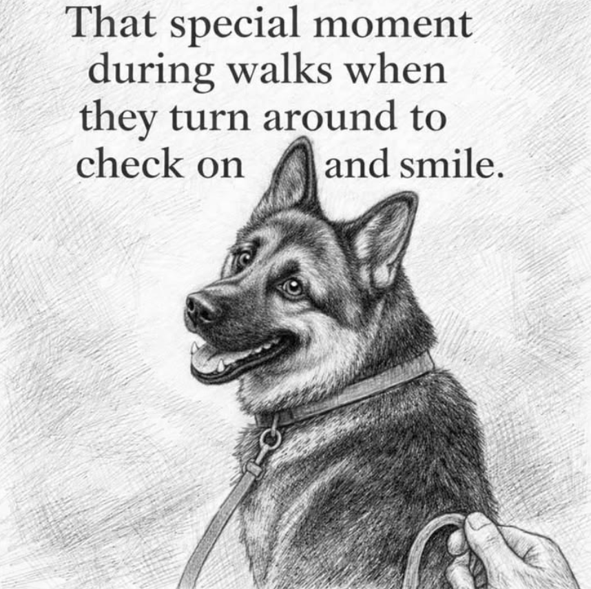 TweeetsOfDogs's tweet photo. https://t.co/KAw40a6RSc