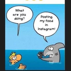 Dinshaw B Avari tweet media