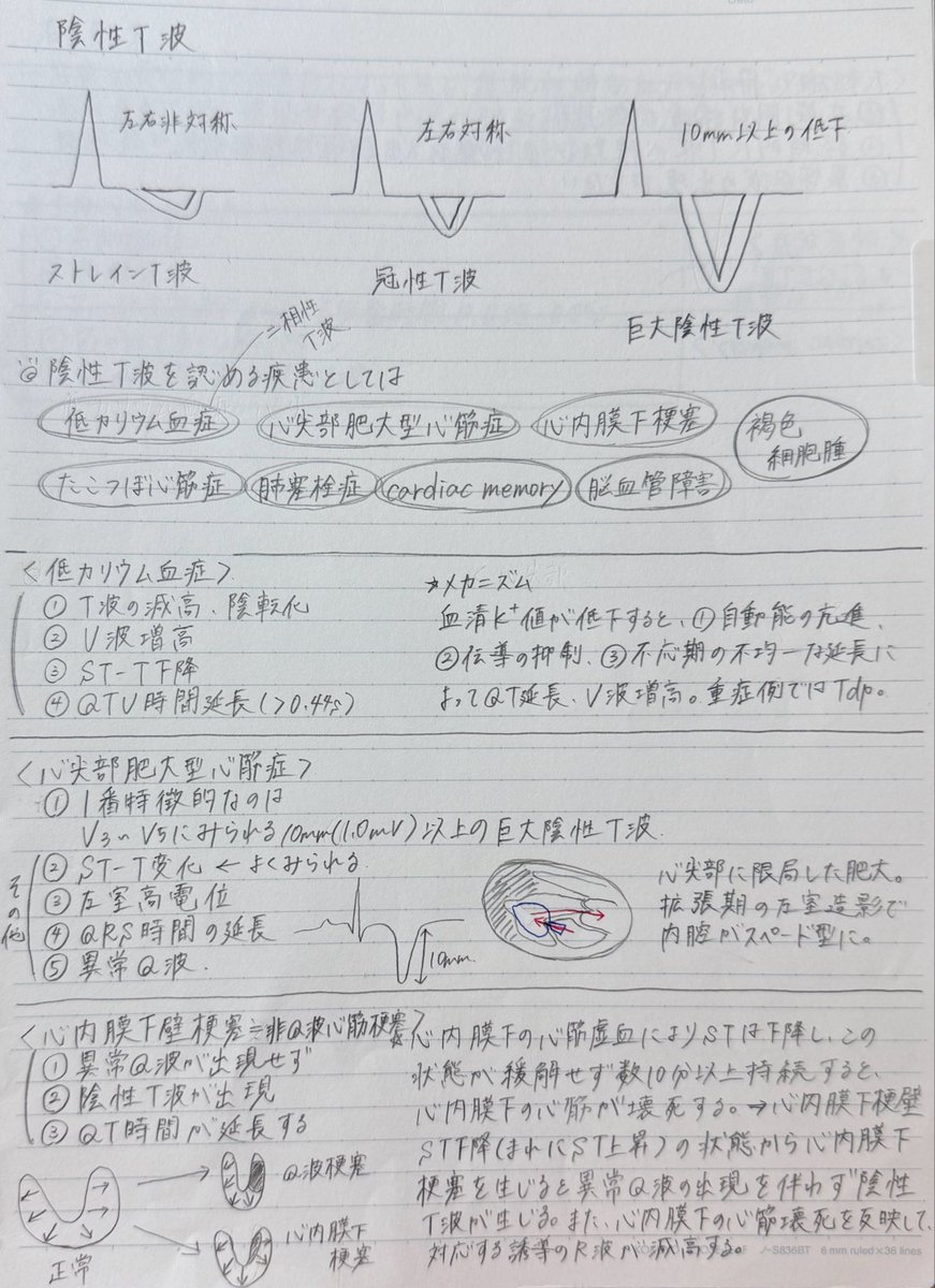ぴよ@検査技師の卵 tweet media