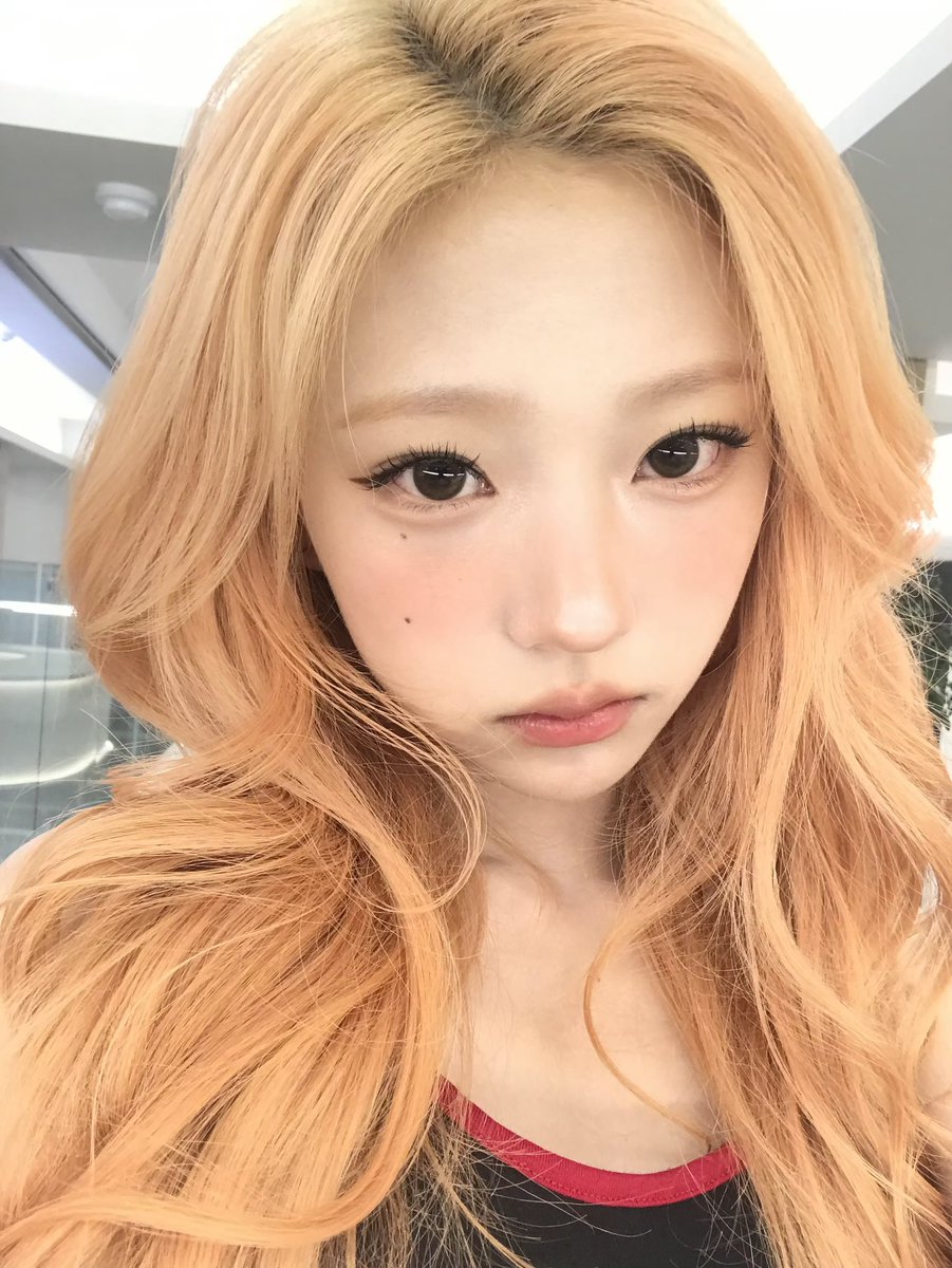 안유 tweet media
