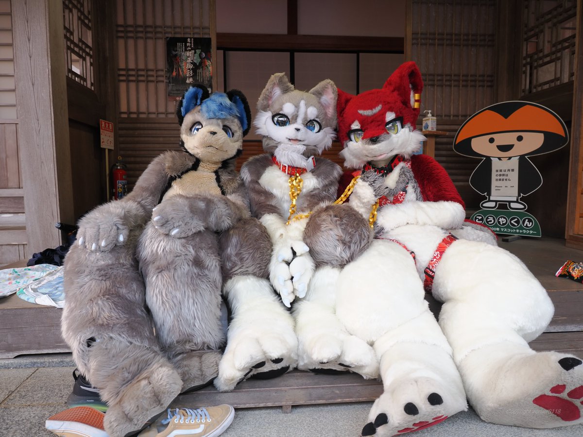 zeruel0118's tweet photo. それぞれおもいおもいの楽しみ方をしている仔達。。。

#寺もふ
#寺もふ11 https://t.co/ptAv7GTj9S
