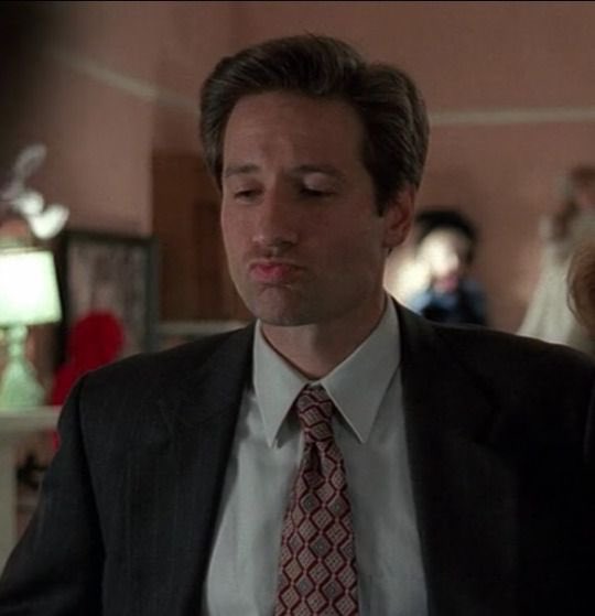 😍4DavidDuchovny tweet media