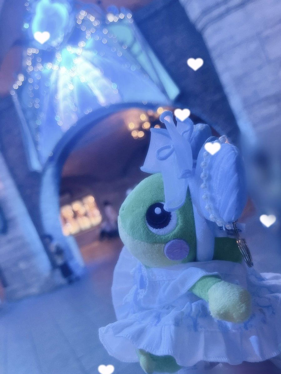 🐸ニョ🎀 tweet media