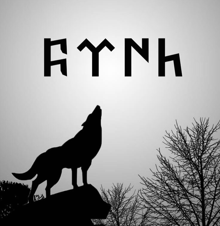 KIRIMLI 🇹🇷🐺 tweet media