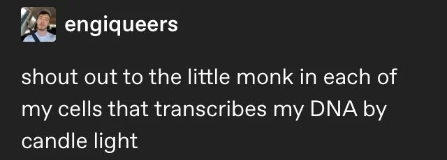 𝖈𝖍𝖆𝖇𝖆𝖟𝖎𝖙𝖊 tweet media
