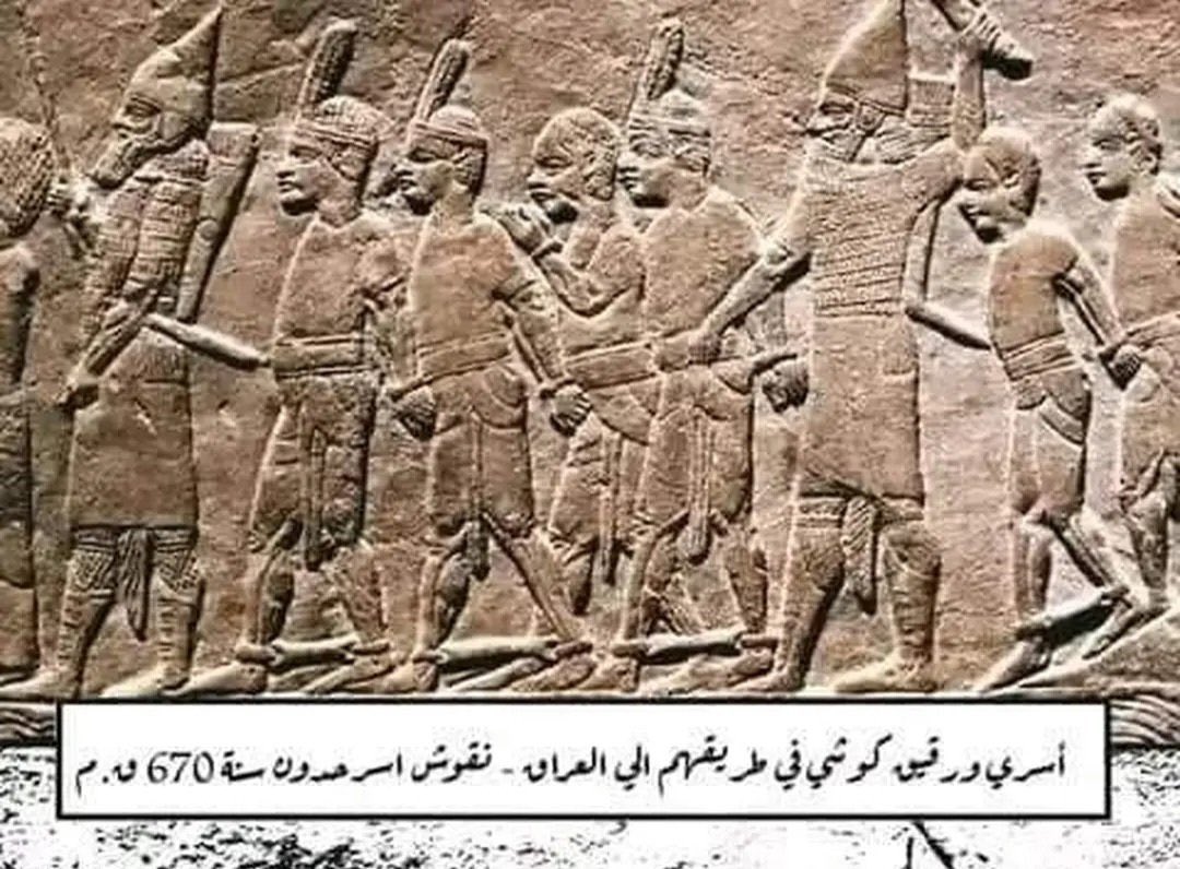 الصميدع tweet media