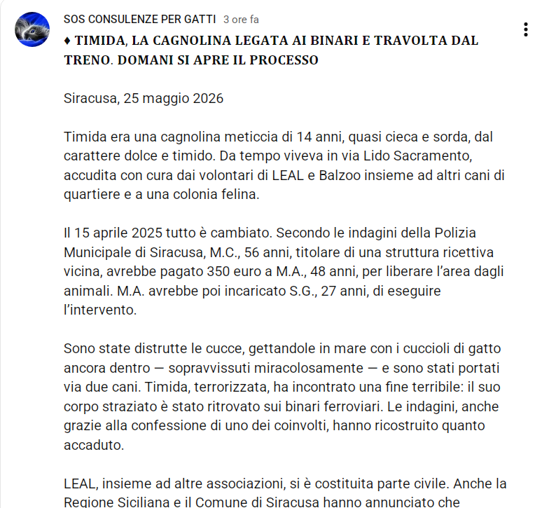 Qua la Zampa tweet media