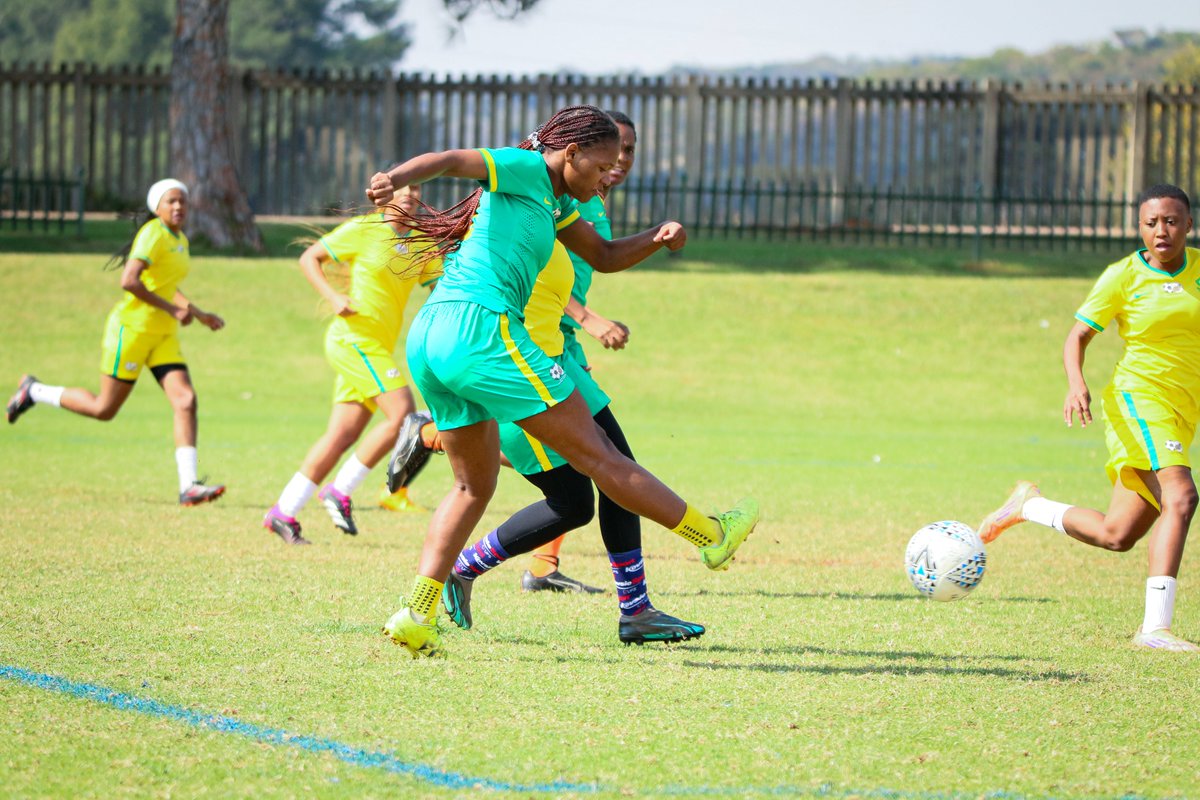 #TeamSA tweet media