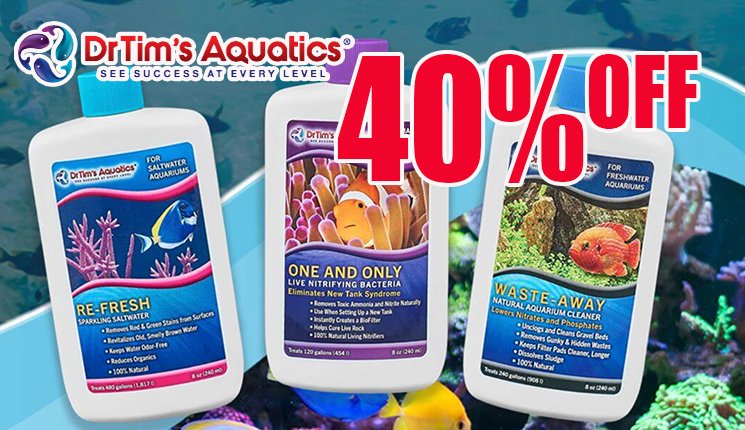 Premium Aquatics tweet media