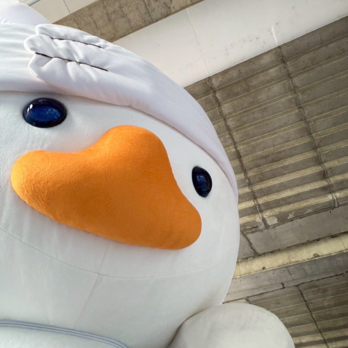 มู่อุนแมะ🦆🐰ྀི tweet media