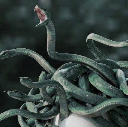 - 𝘼-𝙨𝙩𝙤𝙣𝙚-𝙙𝙞𝙣𝙜𝙡𝙮 𝙝𝙖𝙣𝙙𝙨𝙤𝙢𝙚. 🐍 tweet media