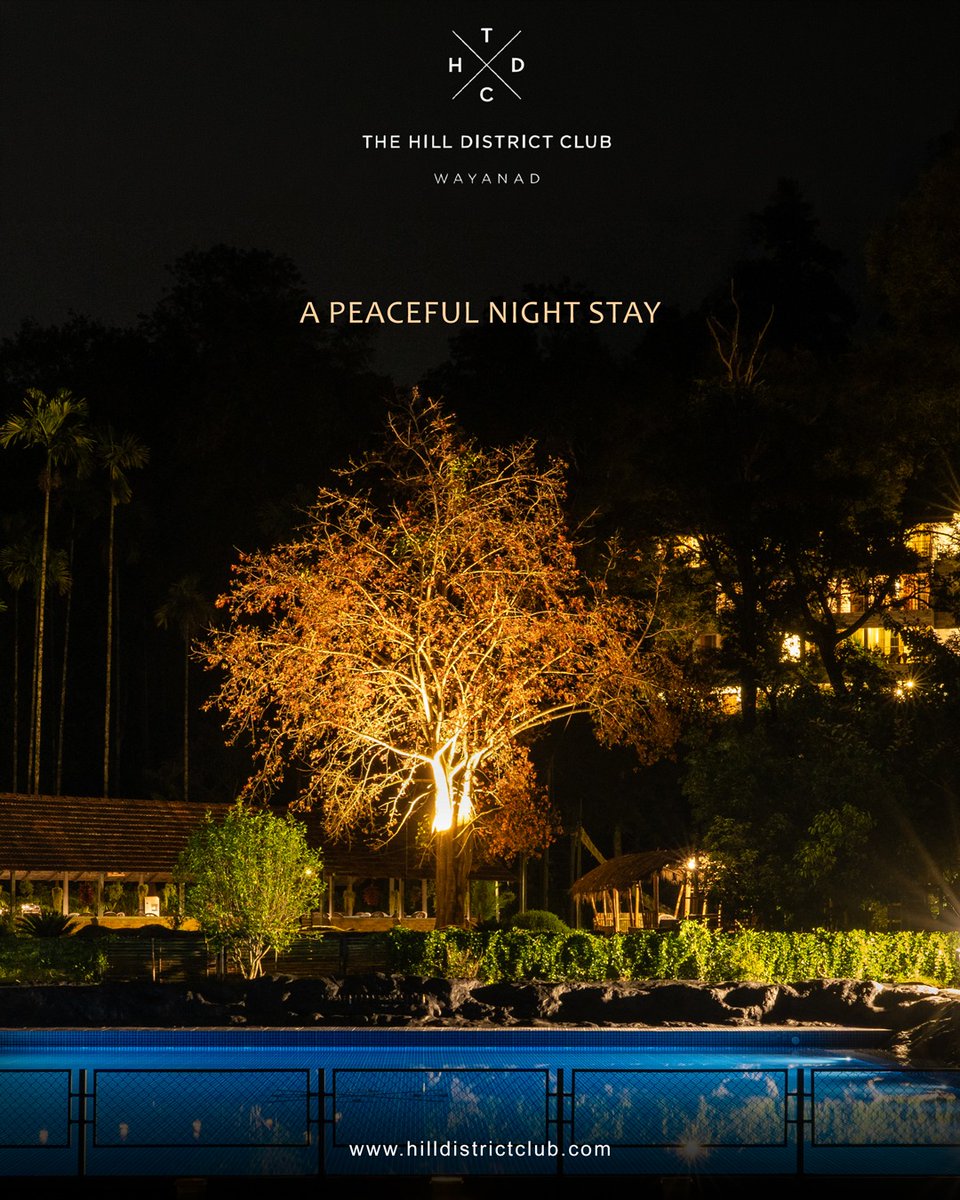 HilldistrictC's tweet photo. A peaceful night, a perfect escape. ✨🌙

Unwind under the stars and wake up to the beauty of Wayanad.

Call / WhatsApp - +91 8589950377
.
.
.
.
.
.

#thehilldistrictclub #wayanad #peacefulstay #natureescape https://t.co/JxmEkR6MCz