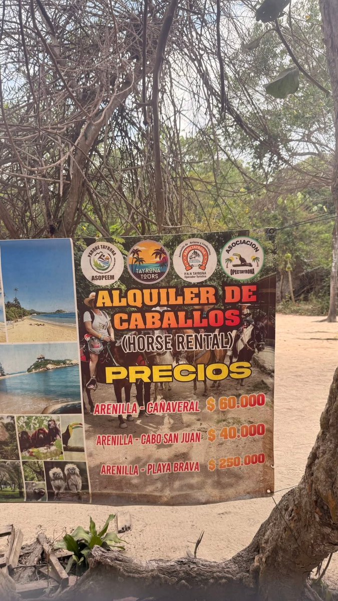 Colombia Oscura tweet media