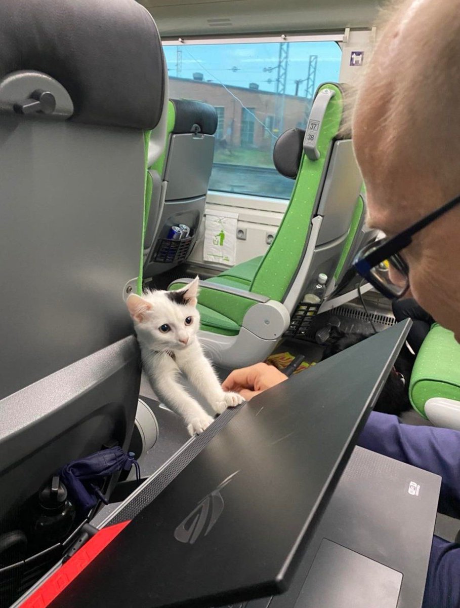 TheCatsX's tweet photo. "do you have games in your laptop?" 🥹 https://t.co/VOeniAwKjn