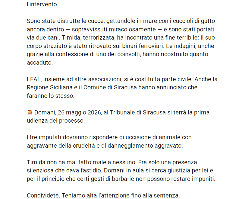 Qua la Zampa tweet media