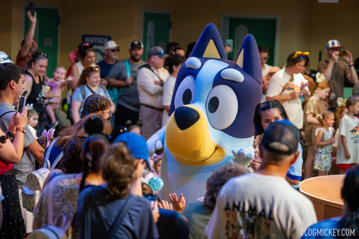 Blog_Mickey's tweet photo. Bluey has arrived and the energy in here is electric!! It's like a Taylor Swift concert for toddlers 

#Bluey #BlueysWildWorld https://t.co/uiTdeVLVRx