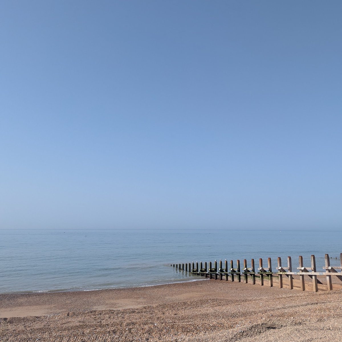 MerryweatherTh's tweet photo. We've had such a fun weekend at @brightonfringe performing our original sea shanty show The Blue Knot. Lovely audiences, great venue and incredible weather! Thanks all! Our show today also marks Merryweather Theatre's 60th performance to date, taking us all across the UK! 🌊🎭🎶 https://t.co/fxcnD8dOvy