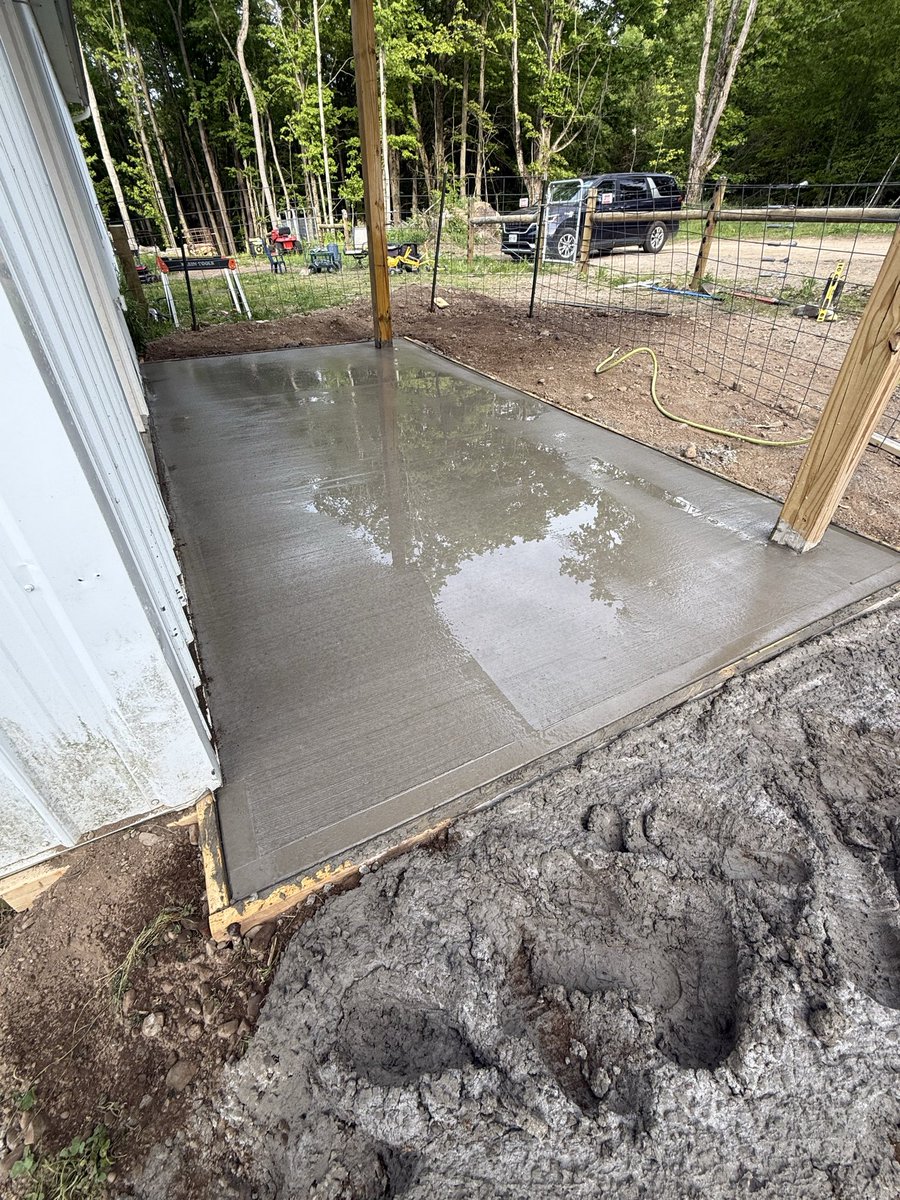 Wild Welling’s Homestead tweet media