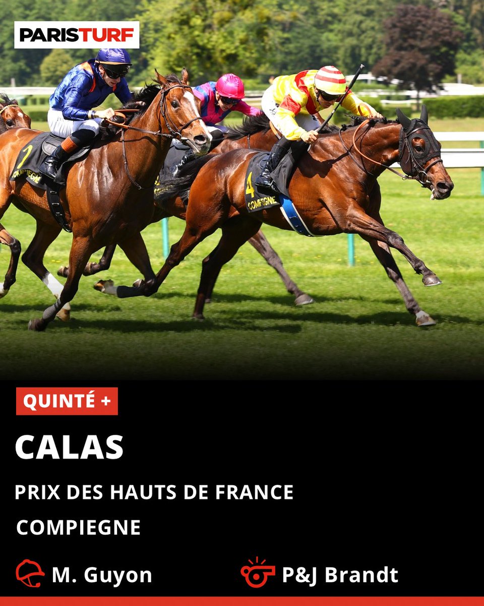 ParisTurf tweet media