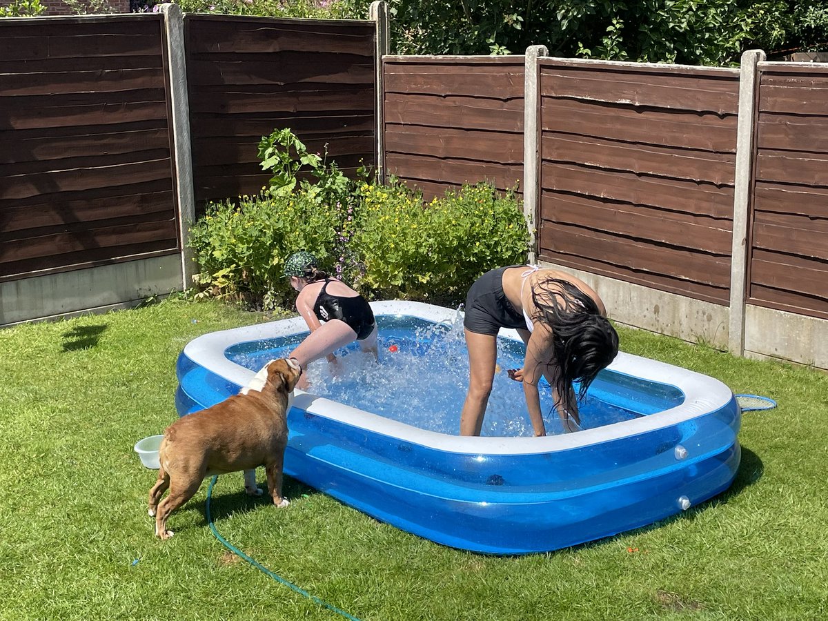ndemps86's tweet photo. Garden Funtime 🥵🥵🥵 https://t.co/70ofq17mqC