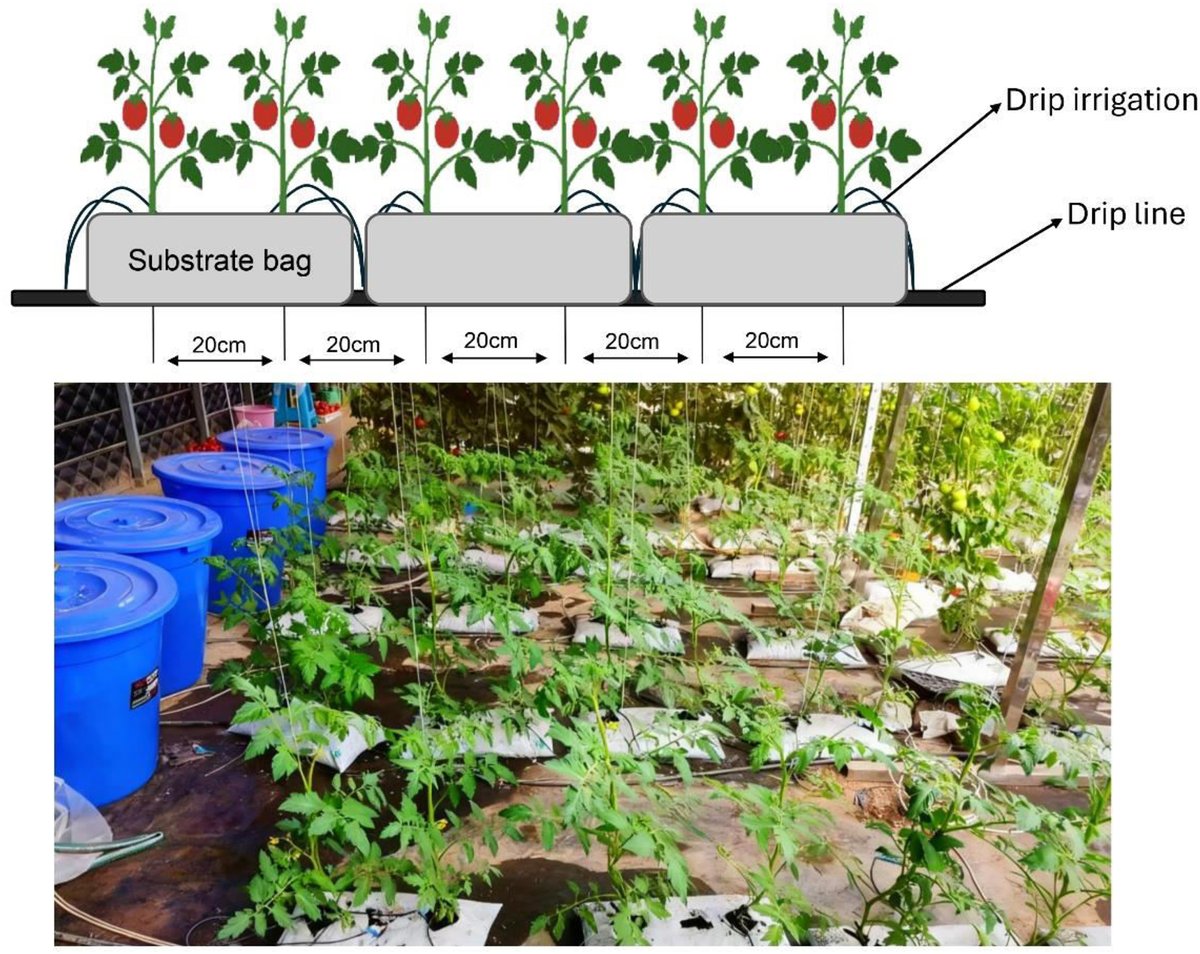 Canadian Journal of Plant Science (@CanJPlantSci) / Posts / X