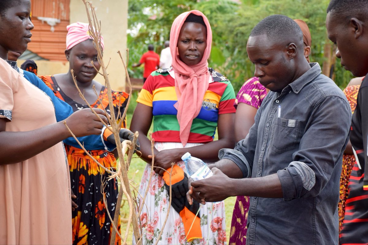 ActionAid International Uganda tweet media