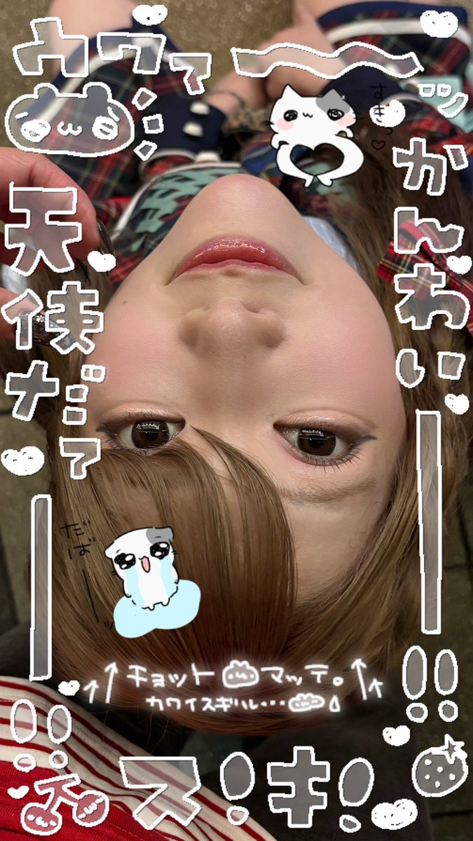 ゲーム実況 tweet media
