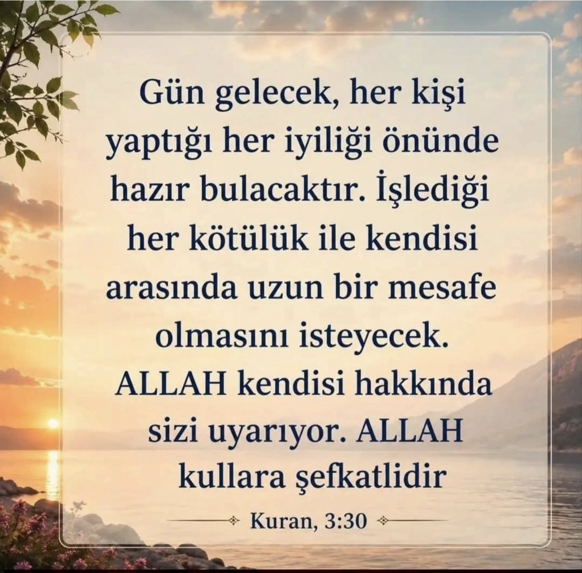 Timurhan32 tweet media