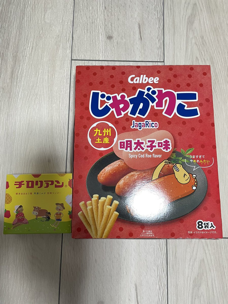 ラバーン(柴犬🐶&爬虫類🐢) tweet media