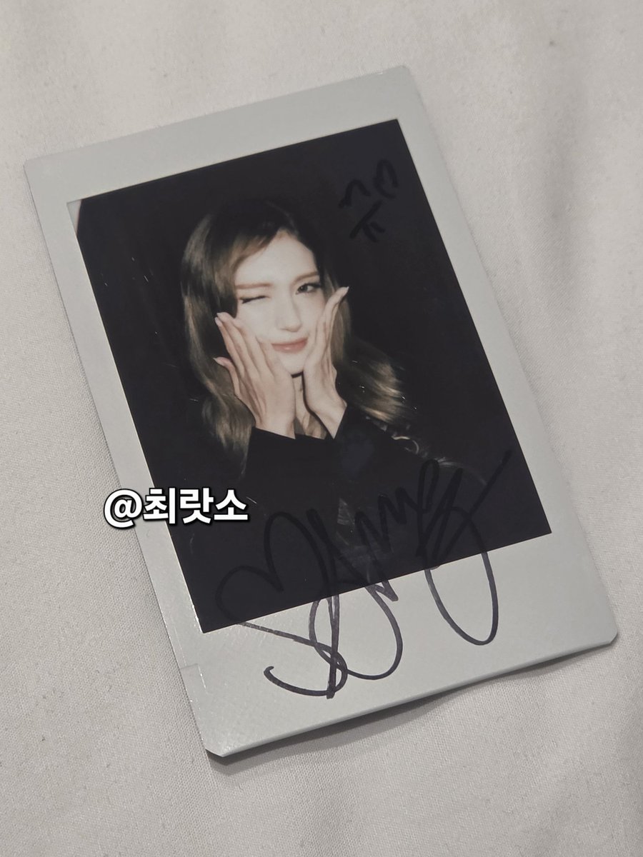 최랏소 tweet media