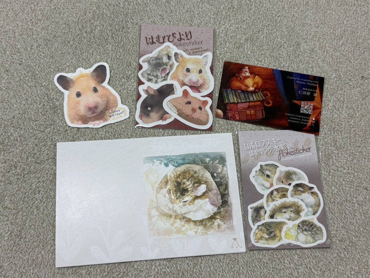 お迎えいただきありがとうございます🍊🐱 みなさんに見守っていただけ
