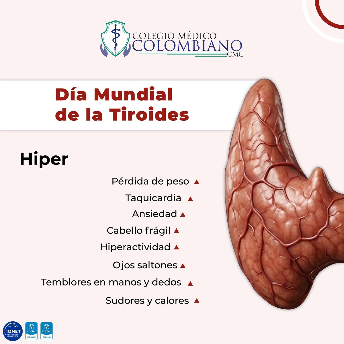ColegioMedicoCo's tweet photo. Día Mundial de la Tiroides 🦋
Pequeña en tamaño, enorme en impacto.
La tiroides regula: metabolismo, energía, estado de ánimo y calidad de vida.

👉 ¿Hipotiroidismo o hipertiroidismo: cuál ves más en consulta?
Te leemos. https://t.co/zmHlWoKQRK