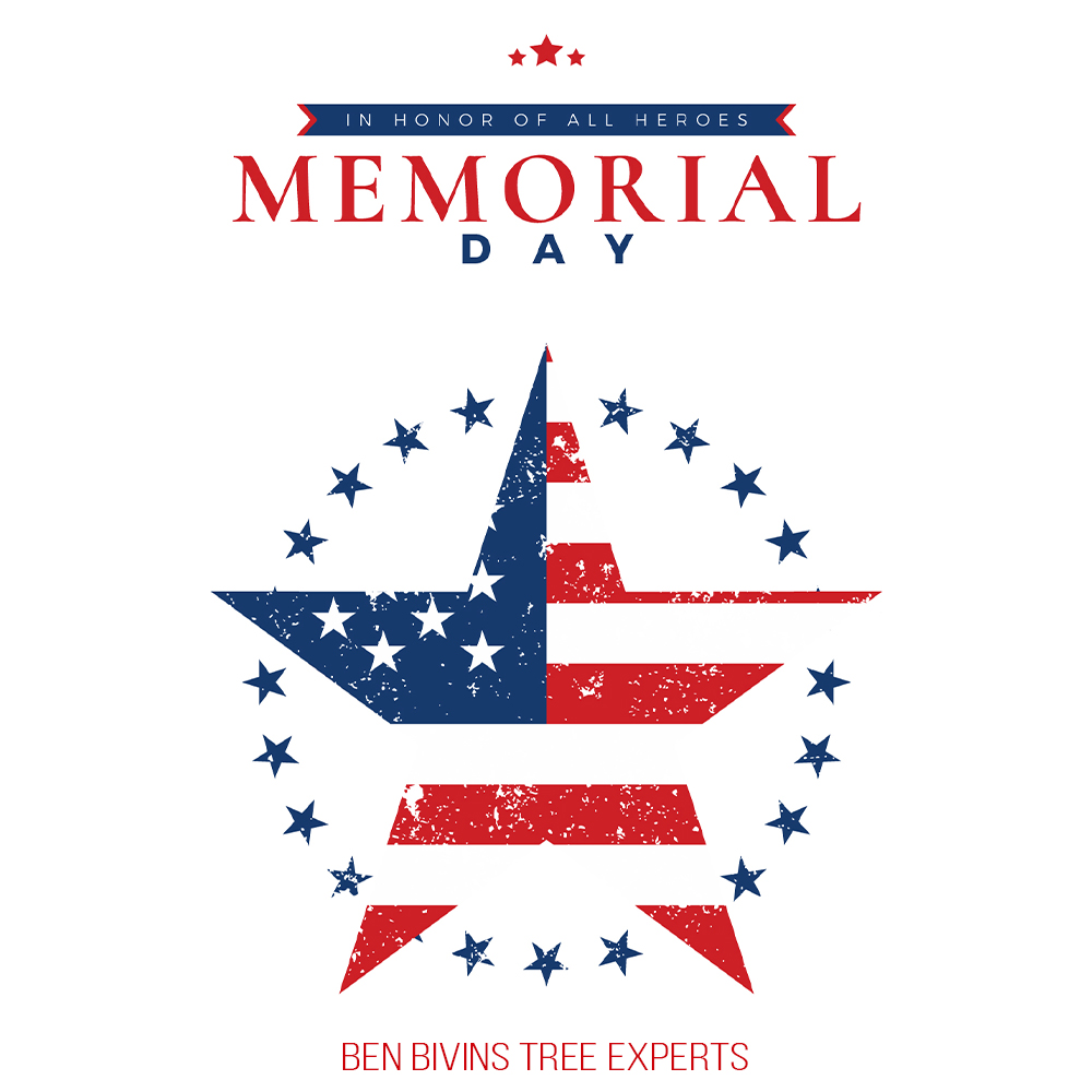 BivinsTree's tweet photo. This Memorial Day, we remember &amp; honors the brave men and women who gave their lives in service to our country. We pause with gratitude, respect, and remembrance for those who never came home.

#MemorialDay #RememberAndHonor #HonorTheFallen #NeverForget #UnitedStatesMilitary #USA https://t.co/nk87hGCjnu
