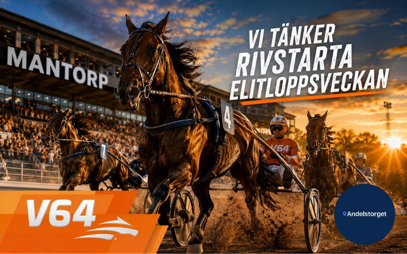 andelstorget's tweet photo. Årets bästa vecka, Elitloppsveckan, är här. Vi sparkar igång denna fantastiska vecka med #V64 från Mantorp under måndagskvällen. Drömstart på veckan är beställd! 😎

HÄR SPELAR NI V64 MED OSS I KVÄLL: https://t.co/1JtOGWaiAk https://t.co/2X44QIi0VG