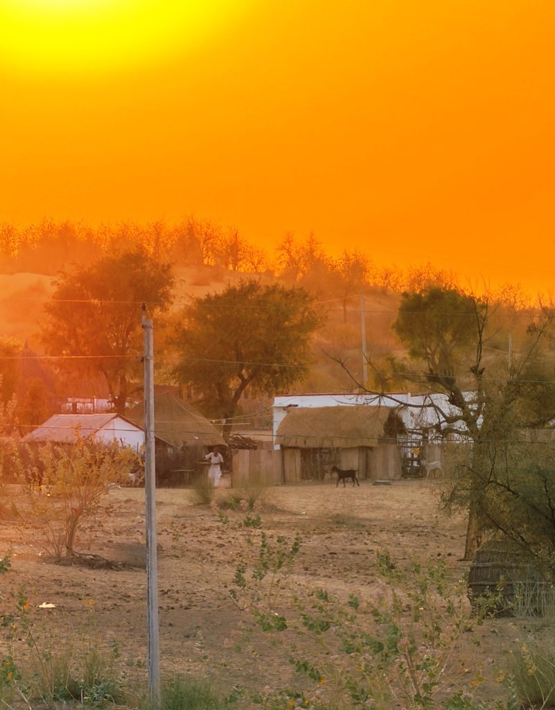 मरू री मरवण🏜️ tweet media