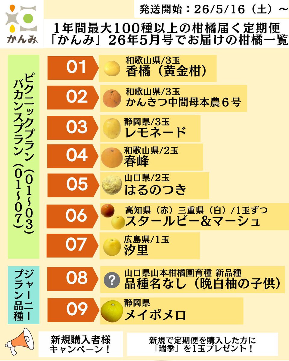 KANMIofficial's tweet photo. 世の中でまだ殆ど食べられてない未知の柑橘を食べる時、個人的ルーチンがあります📝

皮を齧る、冷やす、縦に切る、横に切る、スプーンで掬うなど、どう食べると美味しいのか世界で初めて食べるつもりで検証するのは楽しいです。

気になる方、ぜひ今号の汐里でお試しを🍊あと5セットほどあります！ https://t.co/L3kl25bN3l
