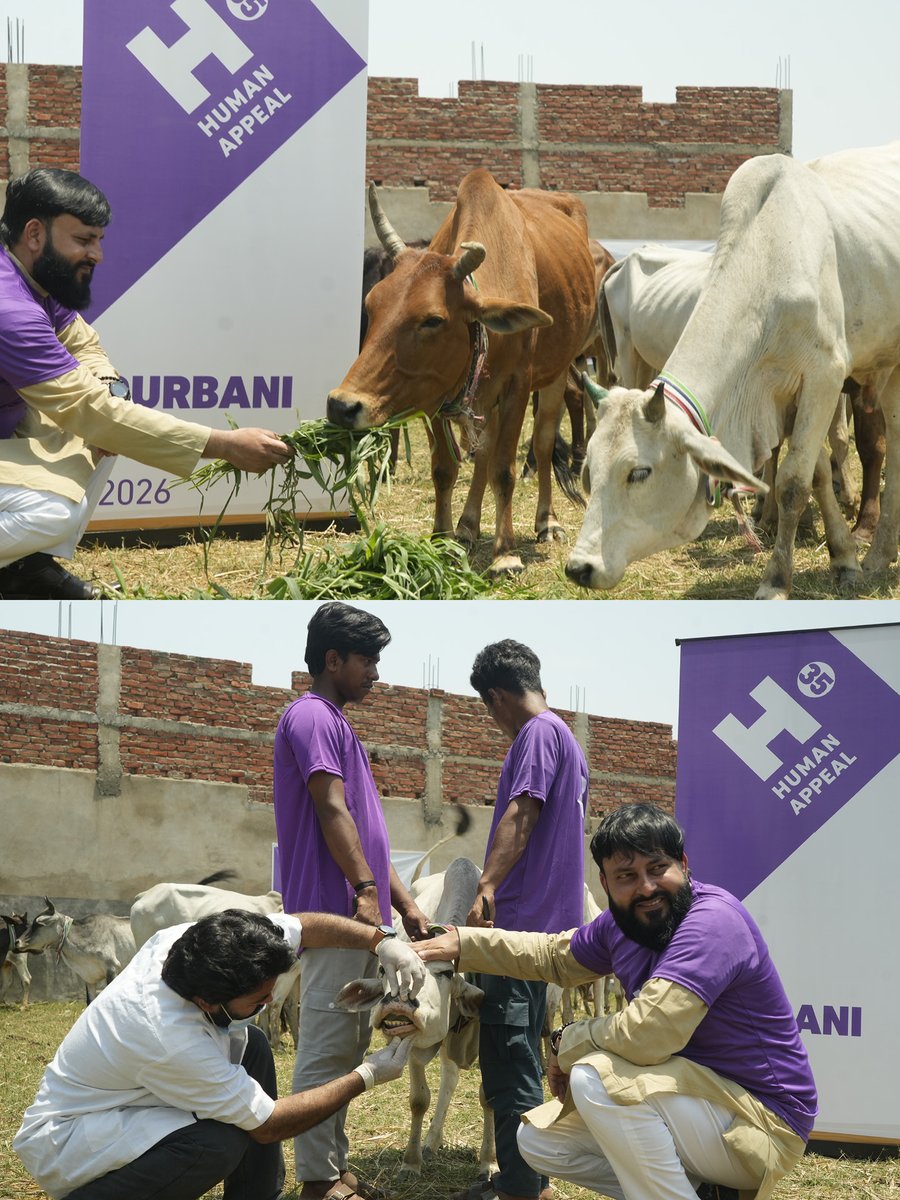 Human Appeal tweet media