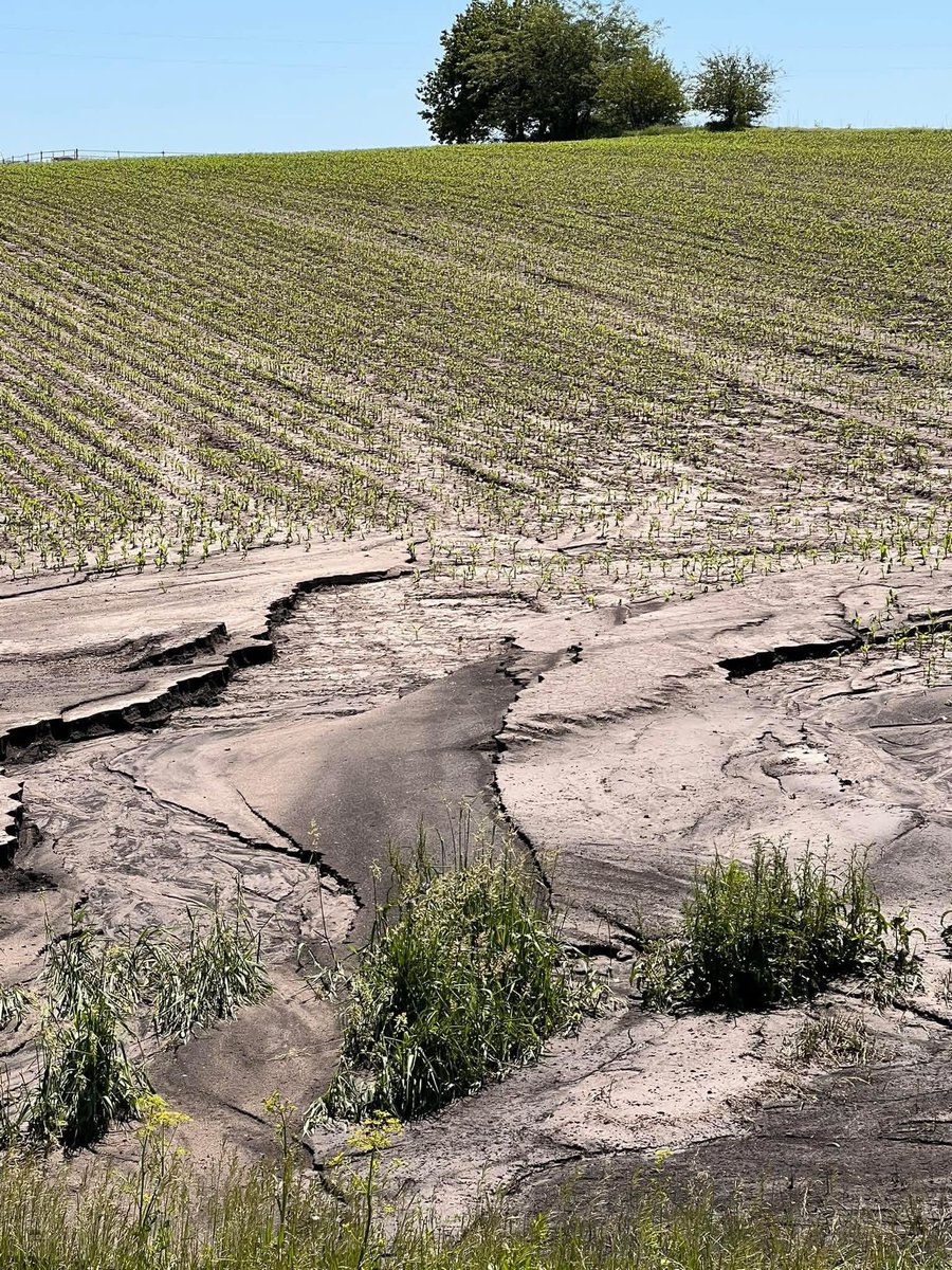 Defund the USDA 2.0 tweet media