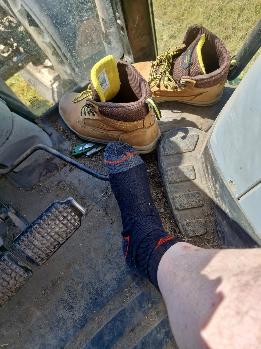 gayfarmer tweet media