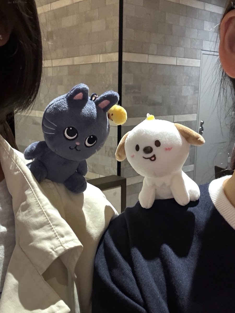 1__superstar's tweet photo. 멍냥의 일상….🧡

肩に乗せていっぱいお出かけしないとね⸝⸝꙳
それにしても可愛すぎなのでは？
(サイズ感も👍🏻 引っ付いて離れない感じも👍🏻 https://t.co/7aPitVb9AI