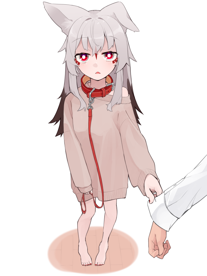 リードを持ってほしいアカシャちゃんシリーズ 