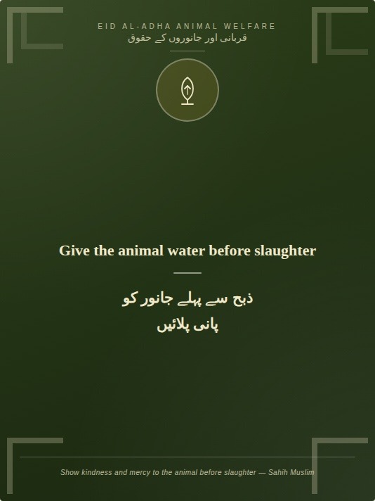 AltamushSaeed's tweet photo. This Eid ul Azha may we all get closer to the idea of sacrifice. Sacrificing means giving what you hold dear to you the most and you give that up in the name of Allah. An animal that we haven't even bonded with can't be something we hold dear the most to ourselves. https://t.co/MZRAL7AR3F
