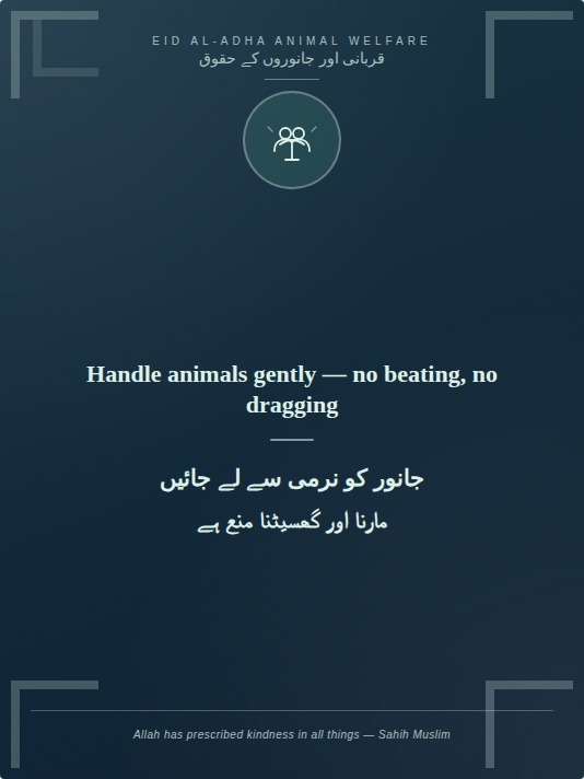 AltamushSaeed's tweet photo. This Eid ul Azha may we all get closer to the idea of sacrifice. Sacrificing means giving what you hold dear to you the most and you give that up in the name of Allah. An animal that we haven't even bonded with can't be something we hold dear the most to ourselves. https://t.co/MZRAL7AR3F