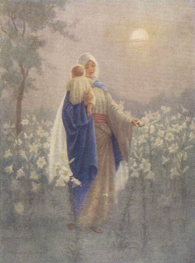 𝙼𝚊𝚛𝚒𝚊 ✝🇻🇦 tweet media