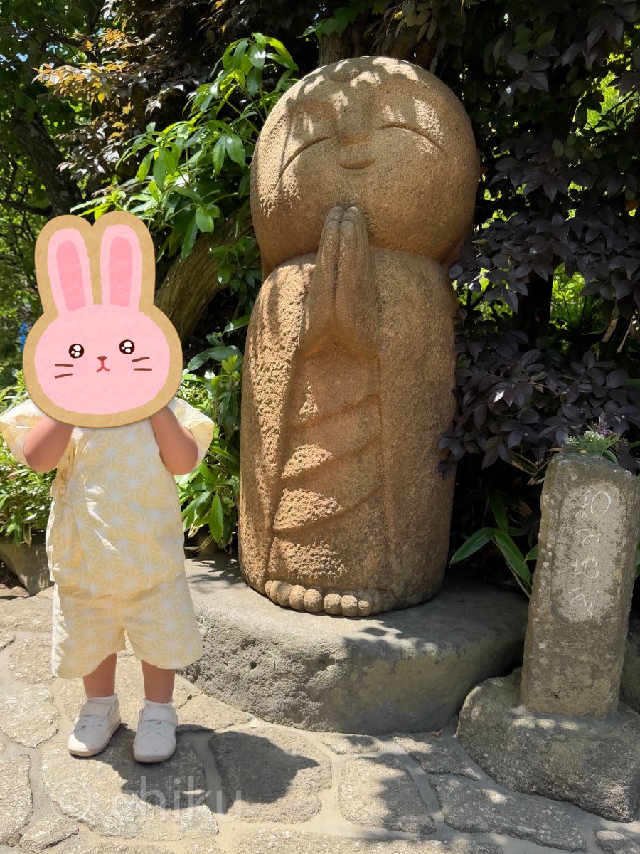 chiku🍀グルメとカメラ tweet media