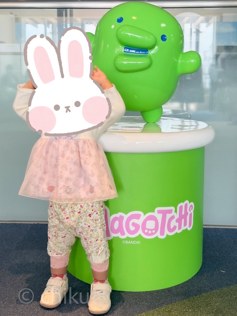 chiku🍀グルメとカメラ tweet media