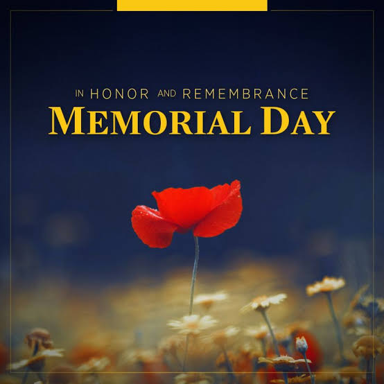SheridaRuth's tweet photo. Poppies for Remembrance!!! https://t.co/9SCK6kNyDX