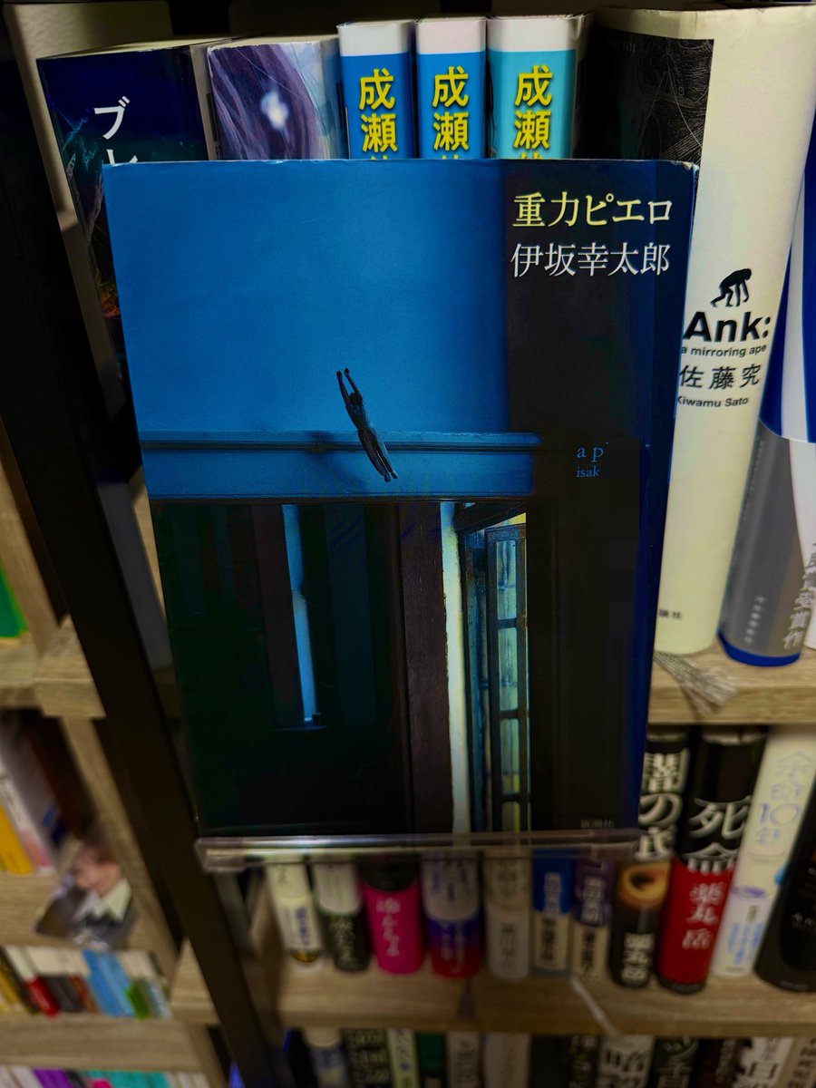 takebo1214's tweet photo. 我が家の年季の入った重力ピエロ
馬券はちょいプラス
 #ジュウリョクピエロ https://t.co/uukB0iIzna