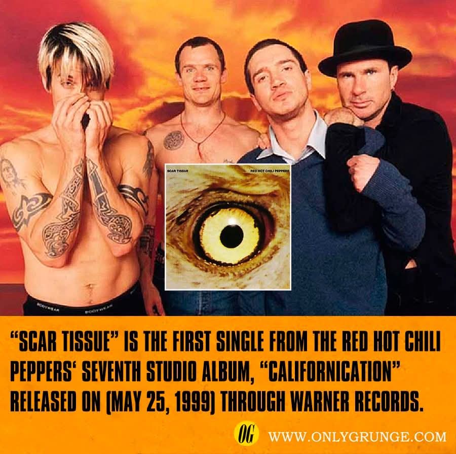 OnlyGrunge1's tweet photo. 💿Scar Tissue is the first single from the Red Hot Chili Peppers' seventh studio album, Californication, released on May 25, 1999. https://t.co/8EEzom5DhG #scartissue #singlealbum https://t.co/l4kz94Jk4D